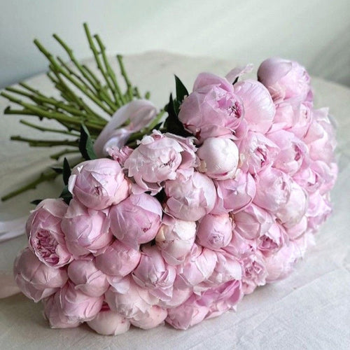 Luxury Arrangements