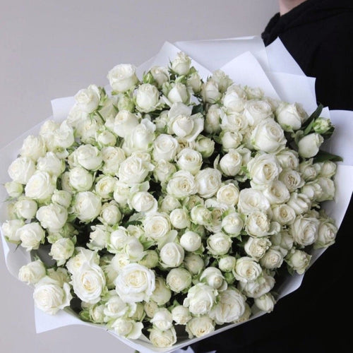 Sympathy & Funeral