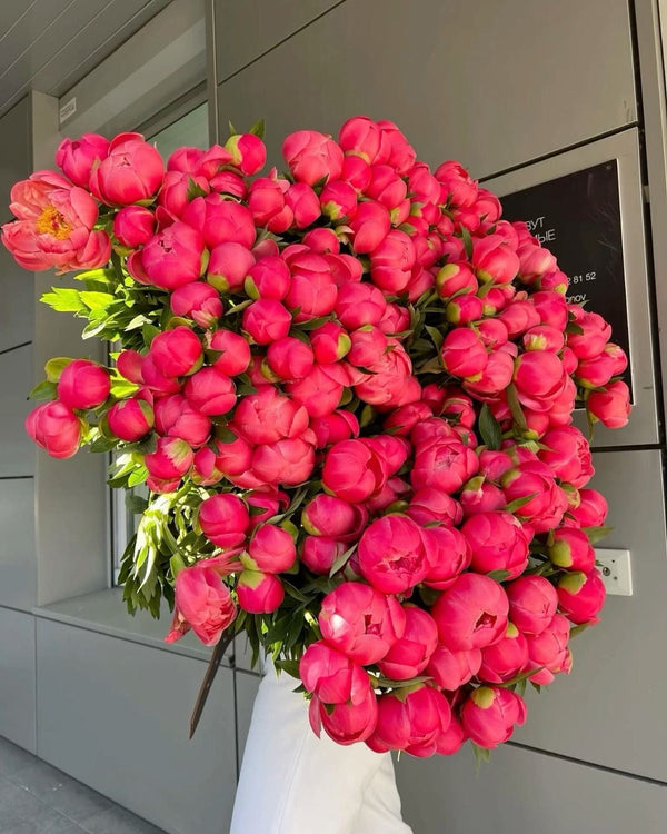 A large bouquet of vibrant pink peony flowers with green leaves, held in a white vase in an indoor setting with gray paneled walls.