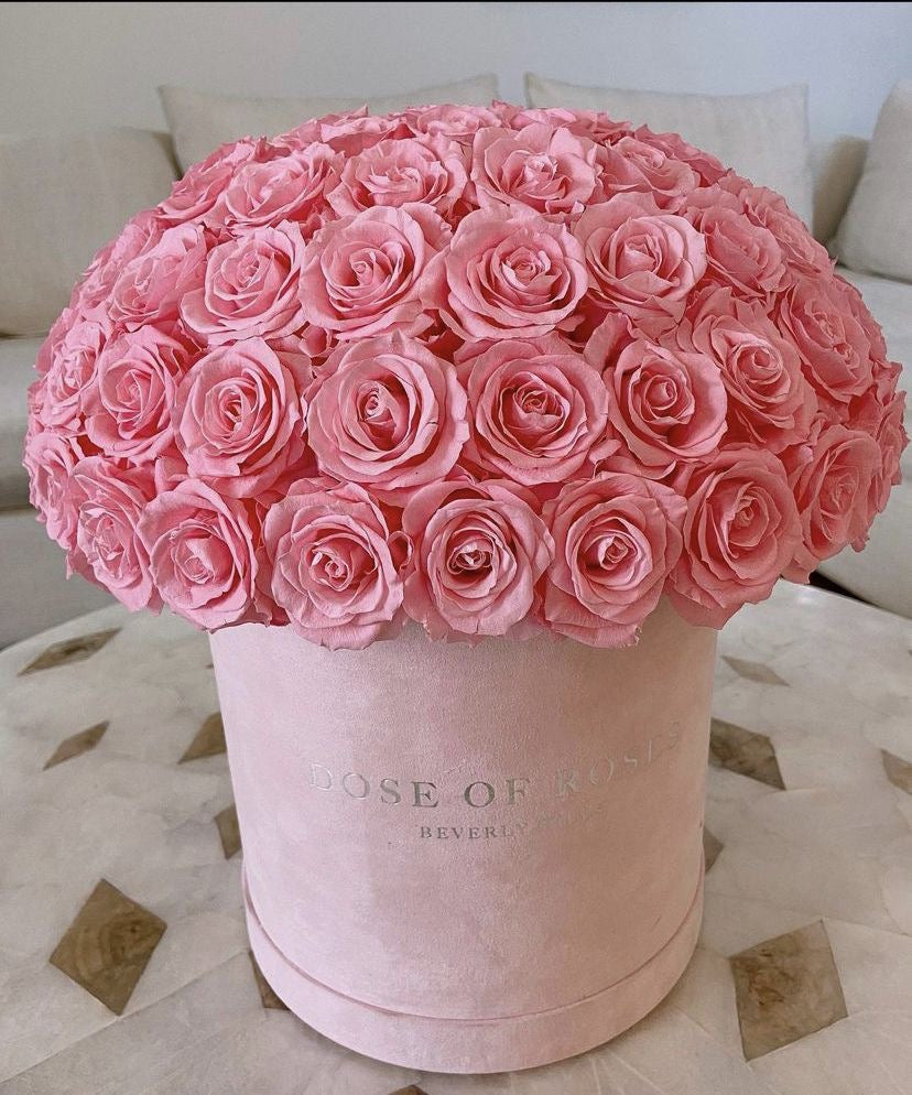 A large dome-shaped arrangement of preserved pink roses in a round pale pink box with the text 'ROSE OF ROSE BEVERLYWOOD' visible on the front, set on a patterned surface with a sofa in the background.